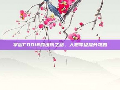 掌握COD16的进阶之路，人物等级提升攻略