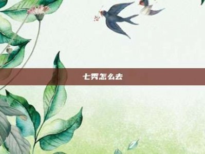 七秀怎么去