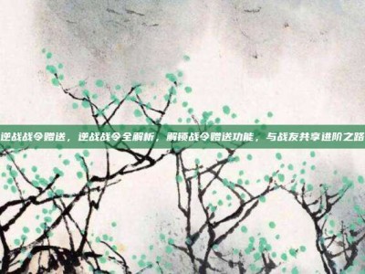 逆战战令赠送，逆战战令全解析，解锁战令赠送功能，与战友共享进阶之路