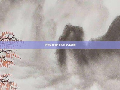 王的支配力怎么获得