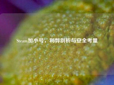 Steam加小号，利弊剖析与安全考量