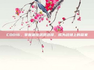COD16，掌握最佳武器选择，成为战场上的赢家