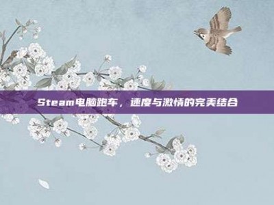 Steam电脑跑车，速度与激情的完美结合