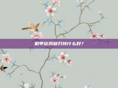 机甲旋风链刃转什么好？