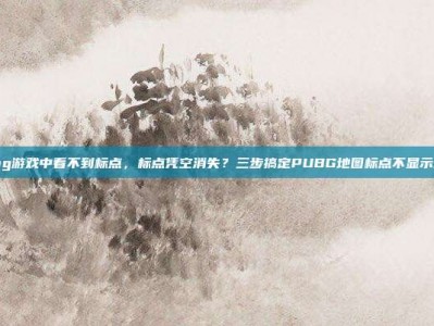 pubg游戏中看不到标点，标点凭空消失？三步搞定PUBG地图标点不显示难题