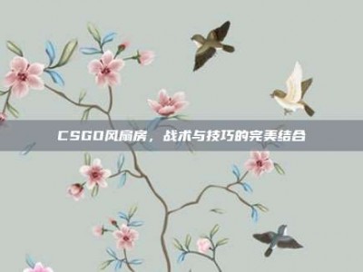 CSGO风扇房，战术与技巧的完美结合