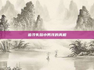 追寻失踪小男孩的真相