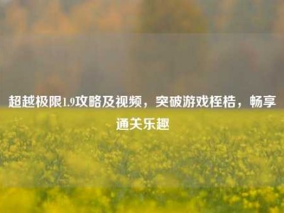 超越极限1.9攻略及视频，突破游戏桎梏，畅享通关乐趣
