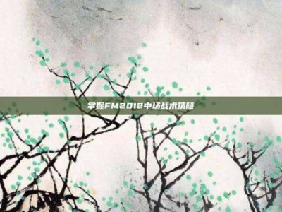 掌握FM2012中场战术精髓