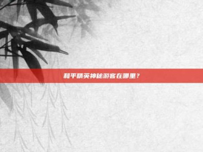 和平精英神秘游客在哪里？