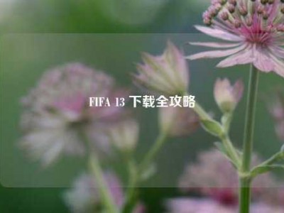FIFA 13 下载全攻略