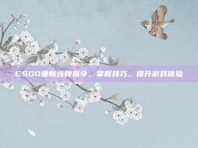 CSGO重新连接指令，掌握技巧，提升游戏体验