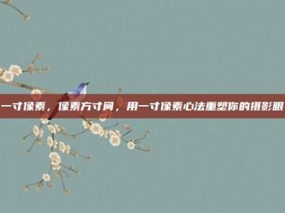 一寸像素，像素方寸间，用一寸像素心法重塑你的摄影眼