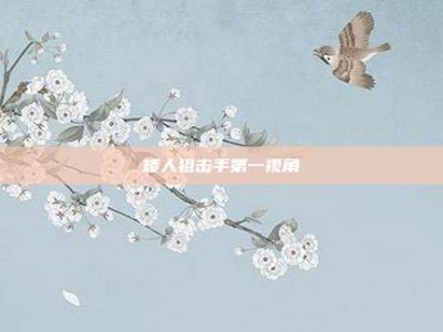 矮人狙击手第一视角