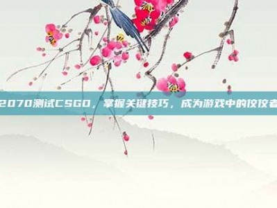 2070测试CSGO，掌握关键技巧，成为游戏中的佼佼者
