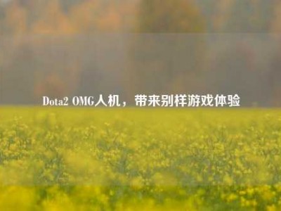 Dota2 OMG人机，带来别样游戏体验
