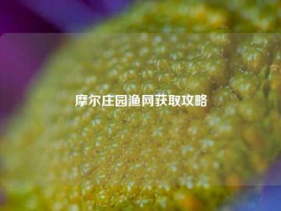 摩尔庄园渔网获取攻略