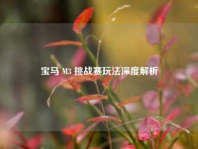 宝马 M3 挑战赛玩法深度解析