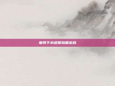 羞辱下水道保险箱密码