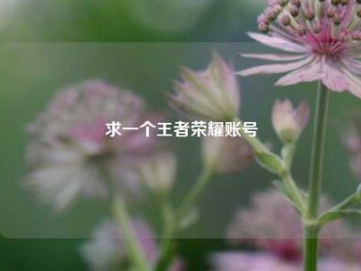 求一个王者荣耀账号