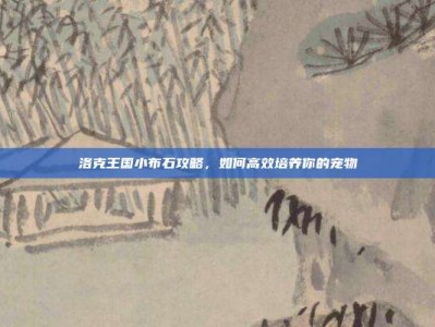 洛克王国小布石攻略，如何高效培养你的宠物