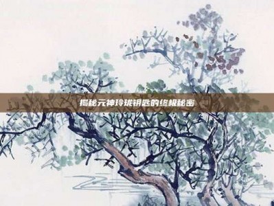 揭秘元神玲珑钥匙的终极秘密