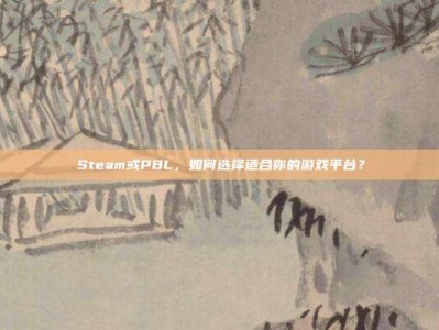 Steam或PBL，如何选择适合你的游戏平台？