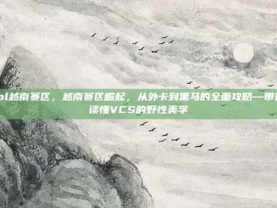 lol越南赛区，越南赛区崛起，从外卡到黑马的全面攻略—带你读懂VCS的野性美学