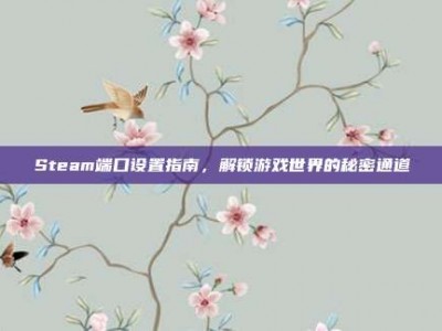 Steam端口设置指南，解锁游戏世界的秘密通道