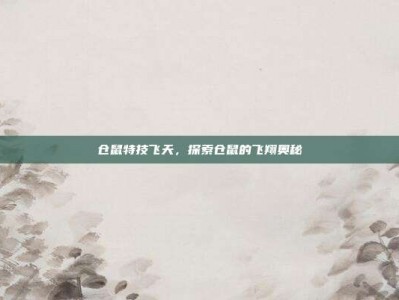 仓鼠特技飞天，探索仓鼠的飞翔奥秘