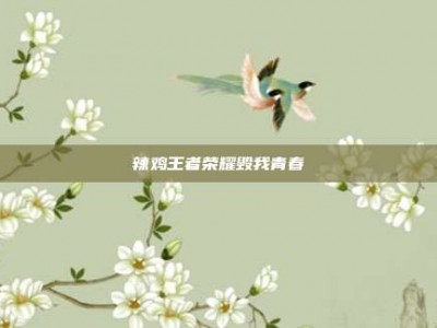 辣鸡王者荣耀毁我青春