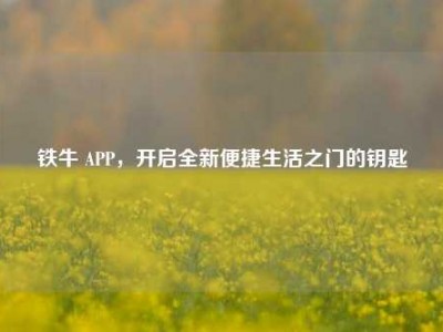 铁牛 APP，开启全新便捷生活之门的钥匙