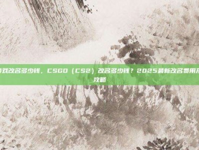 csgo游戏改名多少钱，CSGO（CS2）改名多少钱？2025最新改名费用及全流程攻略