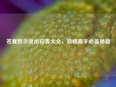 苍翼默示录出招表大全，游戏高手必备秘籍