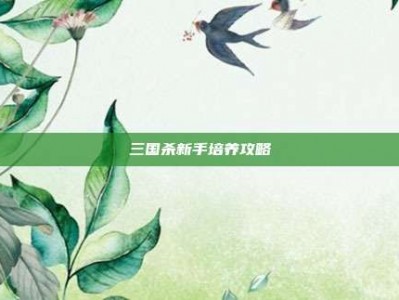 三国杀新手培养攻略