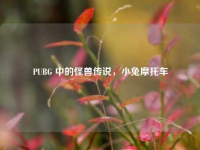 PUBG 中的怪兽传说，小兔摩托车