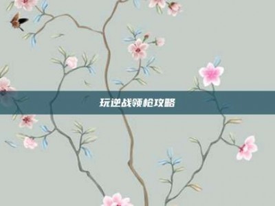 玩逆战领枪攻略