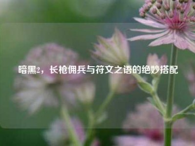 暗黑2，长枪佣兵与符文之语的绝妙搭配