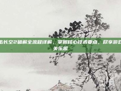 鹰击长空2破解全流程详解，掌握核心技术要点，尽享游戏通关乐趣