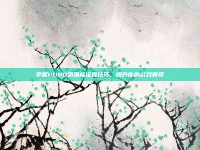 掌握PUBG精确标设置技巧，提升你的游戏表现
