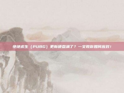 绝地求生（PUBG）更新硬盘满了？一文教你如何应对！