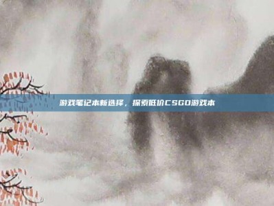游戏笔记本新选择，探索低价CSGO游戏本