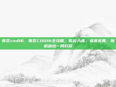 俄区cod16，俄区COD16全攻略，低价入库、语言设置、联机避坑一网打尽