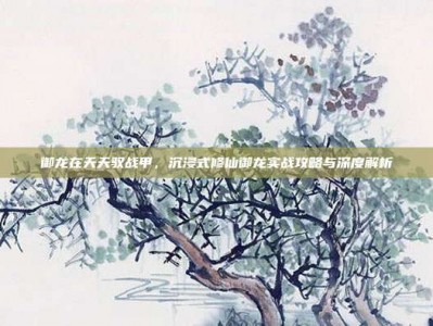 御龙在天天驭战甲，沉浸式修仙御龙实战攻略与深度解析