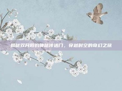 揭秘双月殿的神秘传送门，穿越时空的奇幻之旅