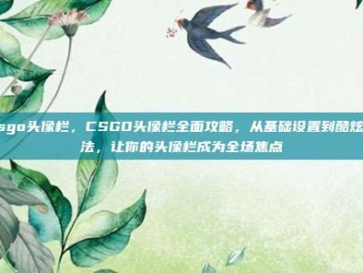 csgo头像栏，CSGO头像栏全面攻略，从基础设置到酷炫玩法，让你的头像栏成为全场焦点