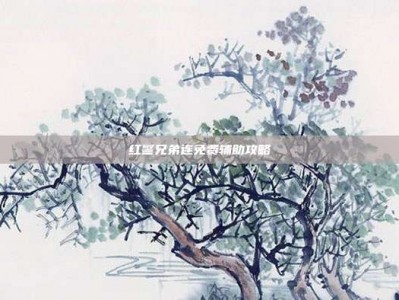 红警兄弟连免费辅助攻略