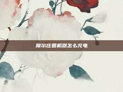 摩尔庄园机器怎么充电
