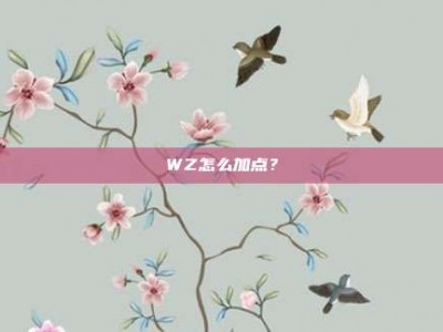 WZ怎么加点？