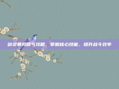 剑灵暴风精气攻略，掌握核心技能，提升战斗效率